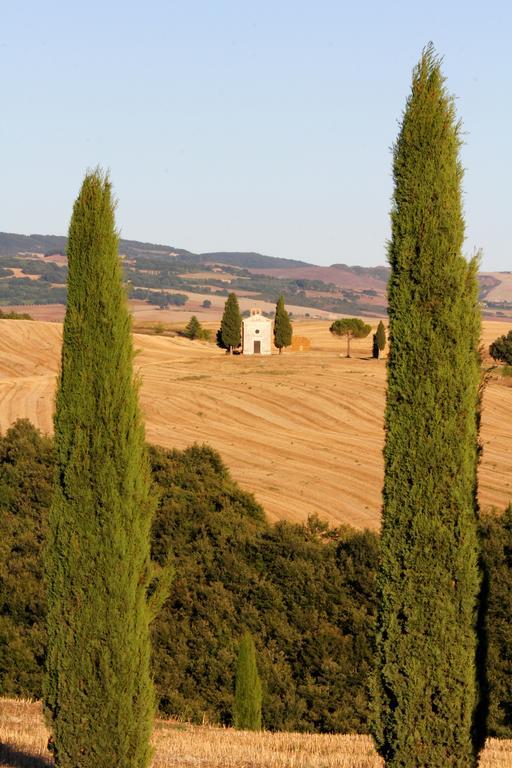 דירות Castiglione dʼOrcia La Terrazza Sulla Val D'Orcia מראה חיצוני תמונה