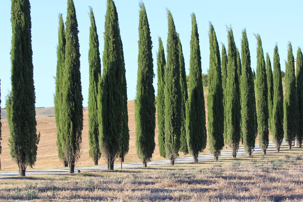 דירות Castiglione dʼOrcia La Terrazza Sulla Val D'Orcia מראה חיצוני תמונה