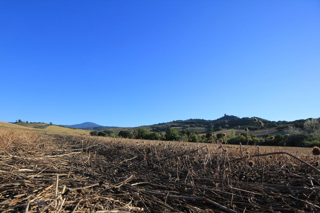 דירות Castiglione dʼOrcia La Terrazza Sulla Val D'Orcia מראה חיצוני תמונה