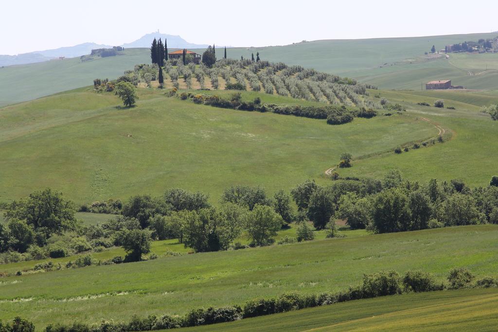 דירות Castiglione dʼOrcia La Terrazza Sulla Val D'Orcia מראה חיצוני תמונה